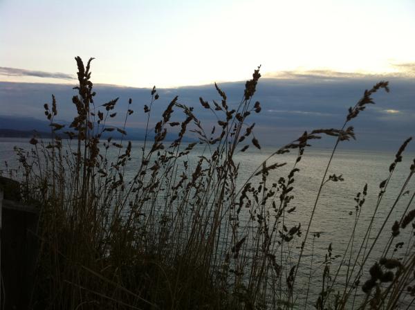 wheat and clouds and ocean