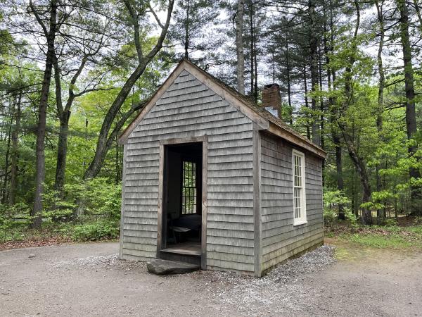 Walden remake